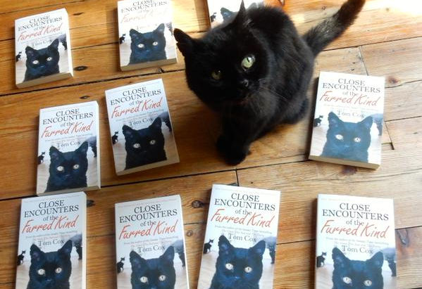 Tom Cox Book Signing & Talk
